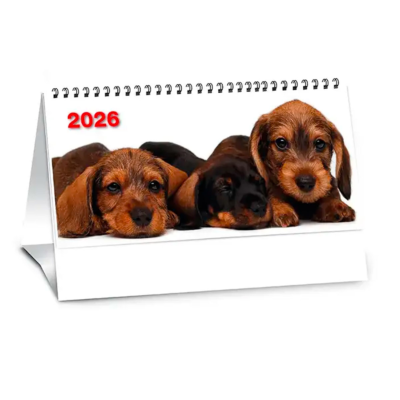 calendario da tavolo cani e gatti